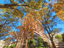 千葉市美浜区打瀬１丁目